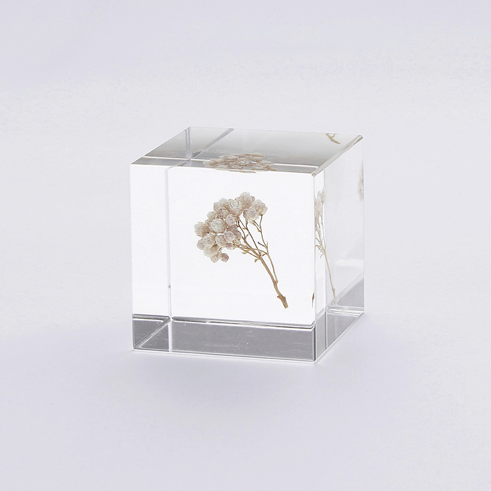 [USAGI NO NEDOKO] Sola Cube - Rice Flower