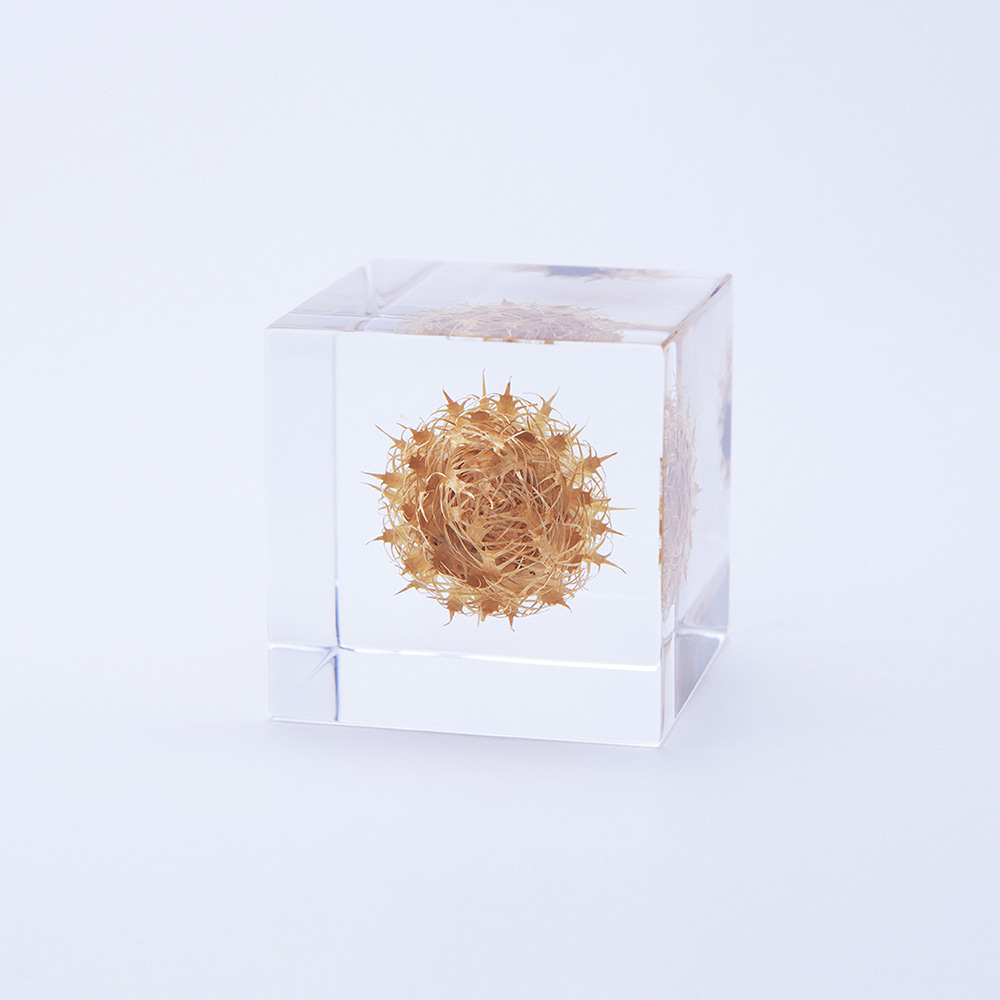 [USAGI NO NEDOKO] Sola Cube - Basket flower