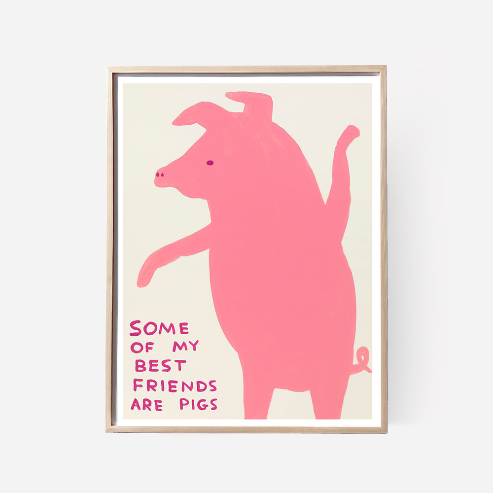 [DAVID SHRIGLEY] Some Of My Best Friends Are Pigs